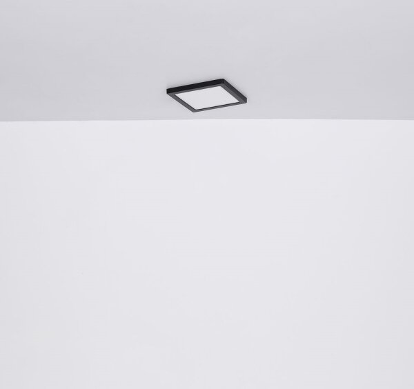 Plafonieră LED LASSE LED/24W/230V 3000/4000/6500K neagră Globo 12380-24B