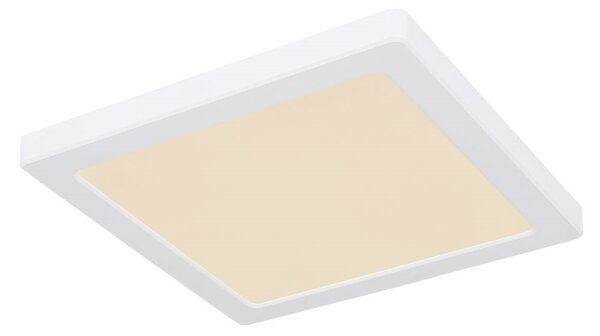 Plafonieră LED LASSE LED/18W/230V 3000/4000/6500K albă Globo 12380-18W