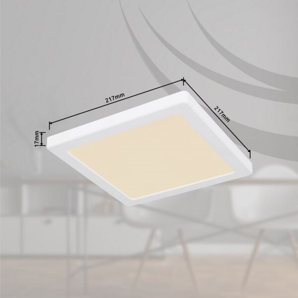 Plafonieră LED LASSE LED/18W/230V 3000/4000/6500K albă Globo 12380-18W