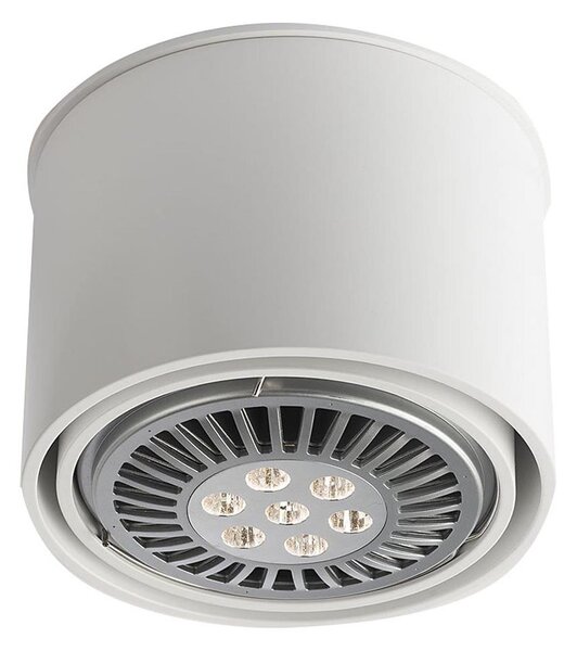 Spot MIKI 1xGU10/15W/230V alb Shilo 7016