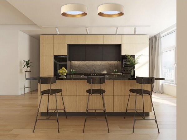 LED plafonieră SMART GALAXY LED/24W/230V bej/auriu + DO, dimabilă
