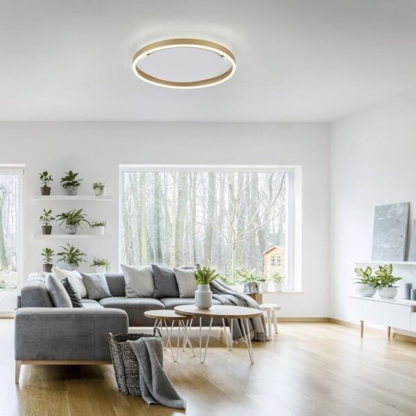 Plafonieră LED dimabilă RITUS LED/20W/230V Leuchten Direkt 15391-60