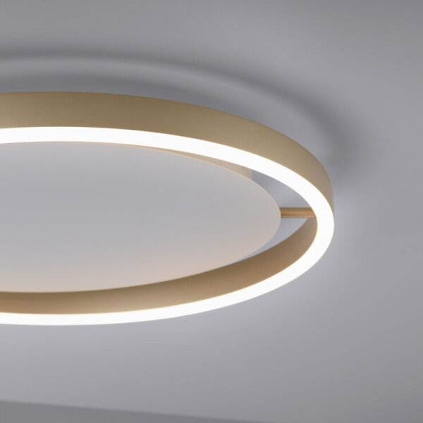 Plafonieră LED dimabilă RITUS LED/20W/230V Leuchten Direkt 15391-60