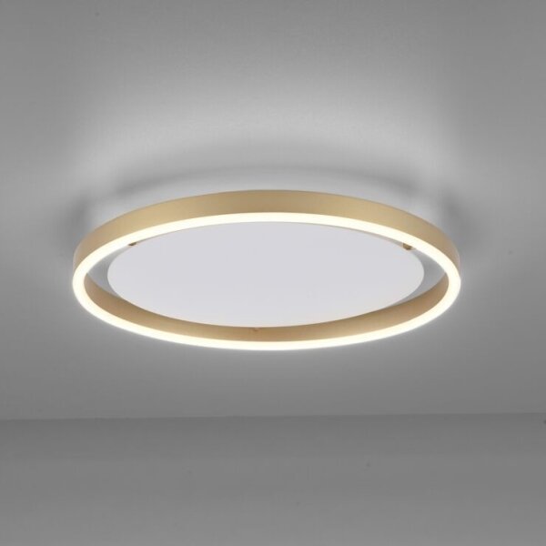 Plafonieră LED dimabilă RITUS LED/20W/230V Leuchten Direkt 15391-60