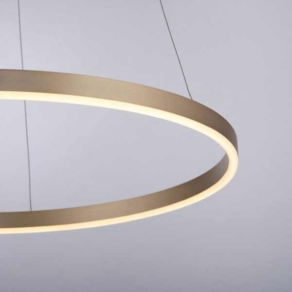 Lustră LED pe cablu dimabilă RITUS LED/28W/230V Leuchten Direkt 15394-60