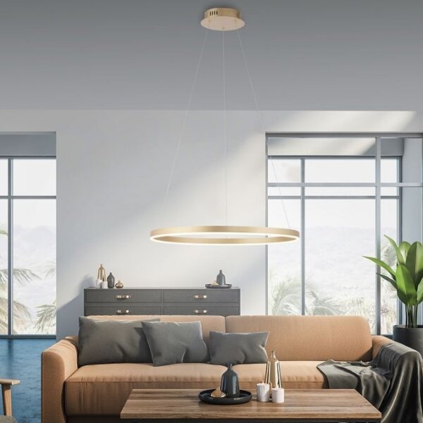 Lustră LED pe cablu dimabilă RITUS LED/28W/230V Leuchten Direkt 15394-60