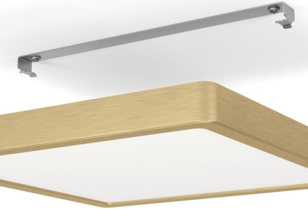 Eglo 900184 - Plafonieră LED FUEVA LED/20,5W/230V