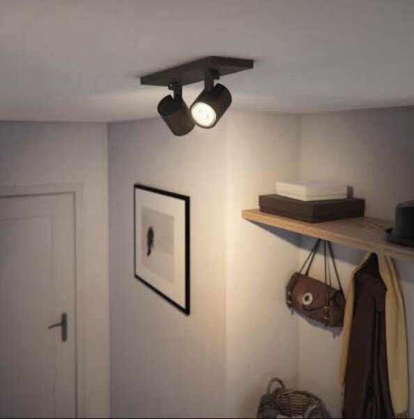 Spot RUNNER 2xGU10/20W/230V negru Philips