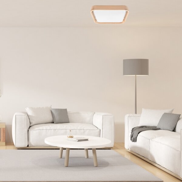 Brilagi - Plafonieră LED MANAROLA CUBIC LED/24W/230V 3000-6500K + telecomandă