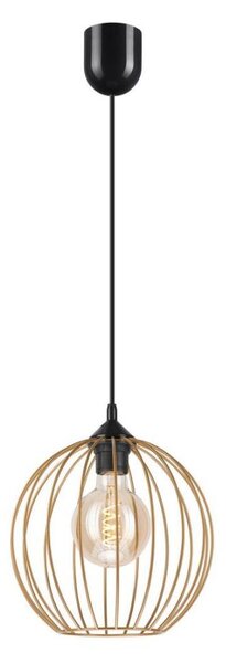 Lustră pe cablu ZOYA 1xE27/60W/230V alamă