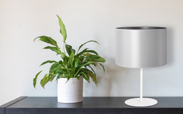 Lampă de masă Duolla CANNES 1xE14/15W/230V d. 20 cm argintiu/alb