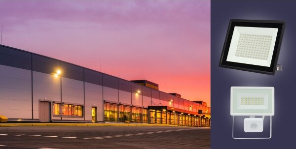 Proiector LED de exterior NOCTIS LUX 3 LED/30W/230V 3000K IP65 alb