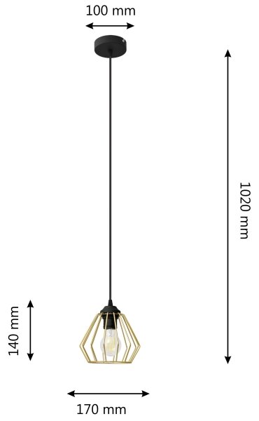 Lustră pe cablu AGAT 1xE27/15W/230V auriu/negru