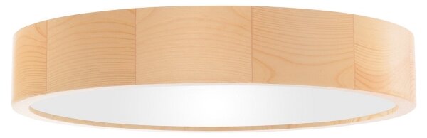 Plafonieră pentru baie CLEO 4xE27/24W/230V IP54 d. 47,5 cm pin