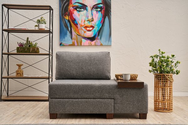 Atelier Del Sofa, Fotoliu extensibil Aiyla gri 116/93/83 cm