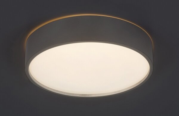 Rabalux 75010 - Plafonieră LED LARCIA 18W 230V IP44 4000K argintiu