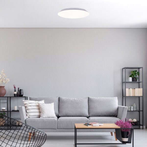 Rabalux RORIK 71124 - Plafonieră LED 24W, 230V, 4000K, 38 cm