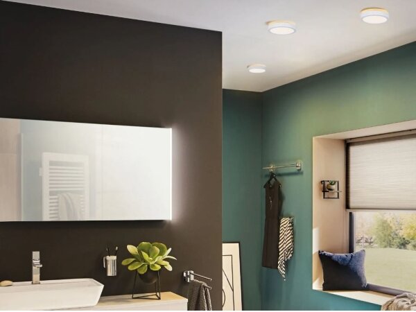 Plafonieră pentru baie LED/13W IP44 AVIAR 230V Paulmann 78923