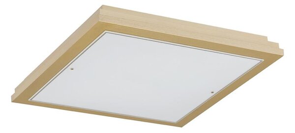 Plafonieră CASERTA 2xE27/15W/230V 32x32 cm Argon 7146