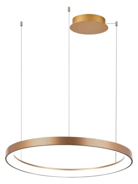 Lustră LED dimabilă pe cablu Azzardo AZ5017 AGNES LED/38W/230V d. 48 cm auriu