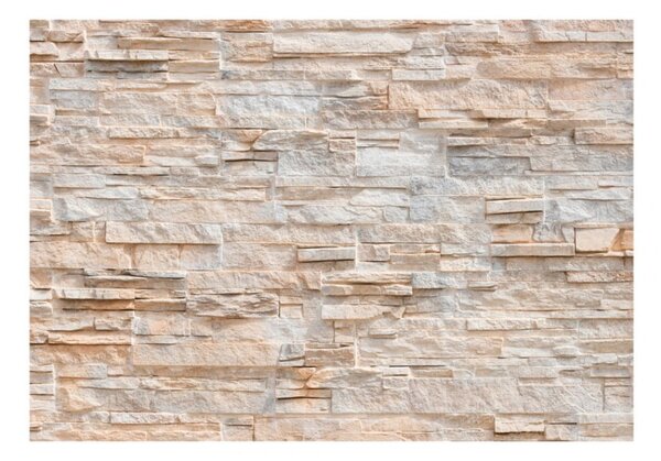 Tapet format mare Bimago Stone Gracefulness, 350 x 245 cm