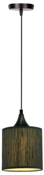 Lustră pe cablu PATTI 1xE27/60W/230V d. 15 cm verde