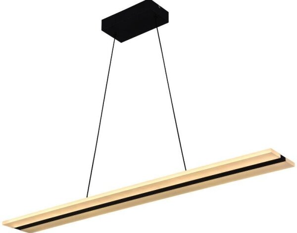 Lustră LED dimabilă pe cablu LED/40W/230V 3000-6500K negru + telecomandă