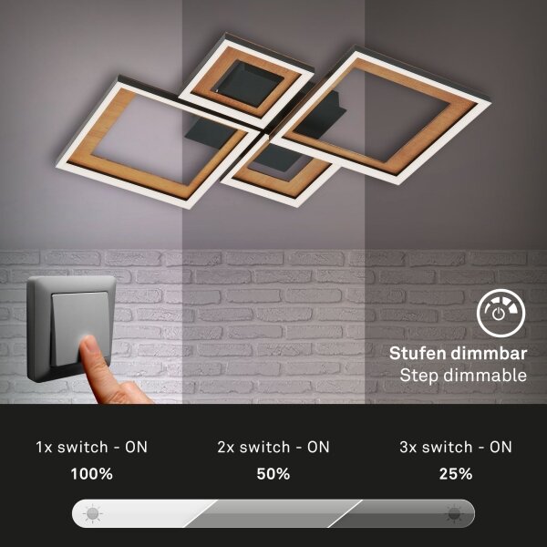 Lustră LED dimabilă aplicată FRAME LED/38W/230V Brilo