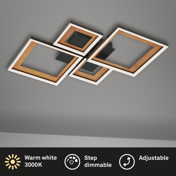 Lustră LED dimabilă aplicată FRAME LED/38W/230V Brilo