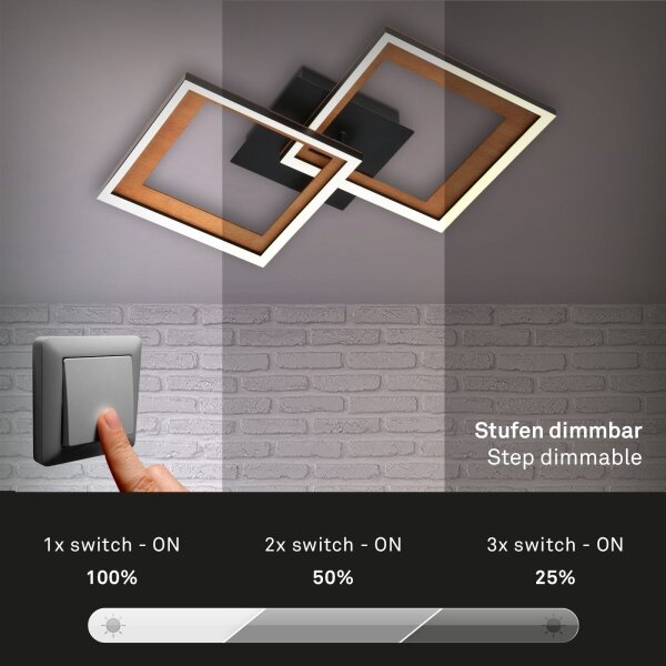 Lustră LED dimabilă aplicată FRAME 2xLED/11W/230V Brilo