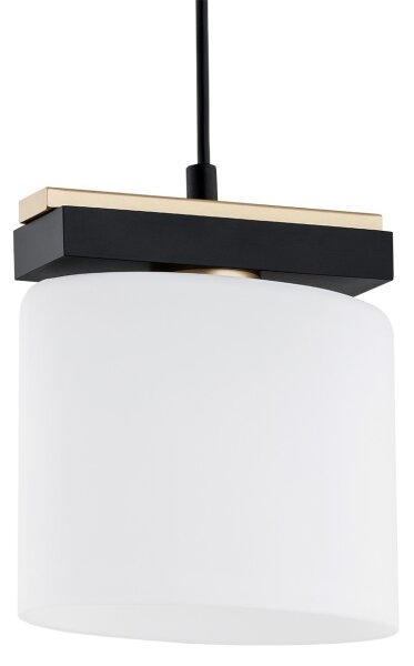 Lustră pe cablu CANOA 1xE27/15W/230V Argon 8276