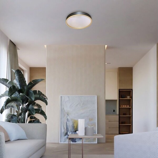 Rabalux 71141 - Plafonieră LED GANDOR, dimabilă, 24W/230V, 3000-6500K