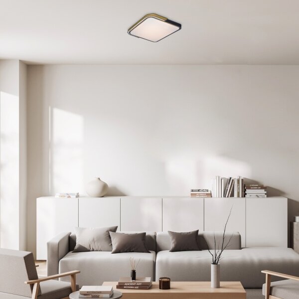 Plafonieră LED dimabilă ARILD LED/48W/230V Wi-Fi Tuya Rabalux 71146
