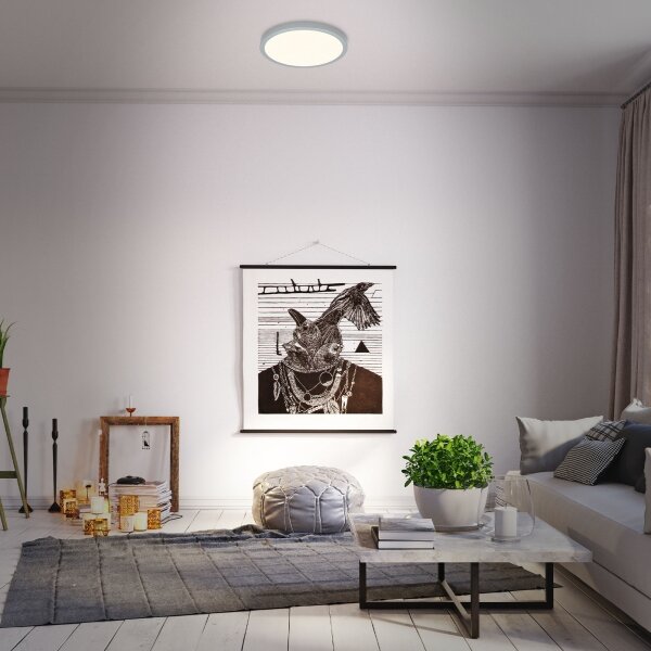 Plafonieră LED dimabilă RUNA LED/22W/230V argintiu Briloner 3704-014 + telecomandă