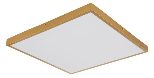 Plafonieră LED TIBEY LED/30W/230V 45x45 cm Globo 12382-30