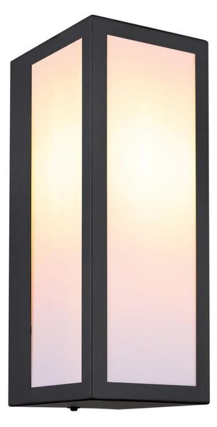 Aplică de exterior GUNDULA 1xE27/60W/230V IP44 Globo 31980O