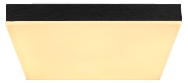 Plafonieră LED DORO LED/18W/230V 30x30 cm negru Globo 41594D1
