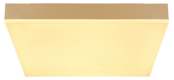 Plafonieră LED DORO LED/18W/230V 30x30 cm auriu Globo 41594D1M