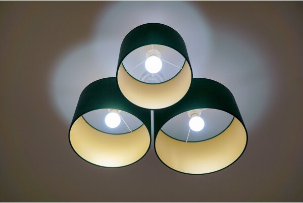 Duolla - Plafonieră ROLLER TRIO 3xE27/60W/230V verde/auriu