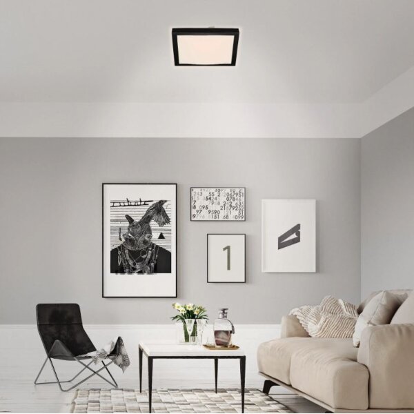 Plafonieră LED FLEDO LED/12W/230V Briloner 3502-015