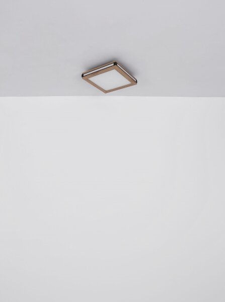 Plafonieră LED CARLA LED/12W/230V 30x30 cm Globo 41589D1