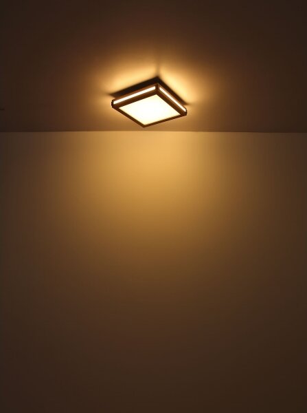 Plafonieră LED CARLA LED/12W/230V 30x30 cm Globo 41589D1
