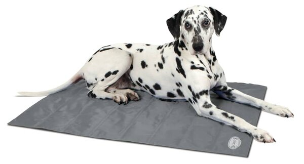 Scruffs & Tramps Pătură termică pentru câine Gri Mărime L 2718
