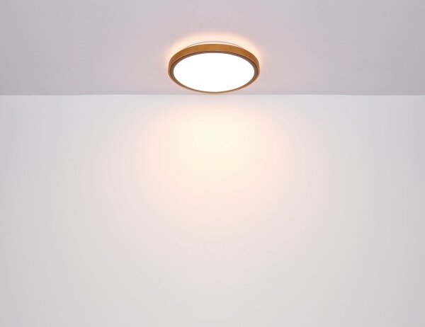 Plafonieră LED SAMMI LED/24W/230V 3000/4500/6000K Globo 41766-24