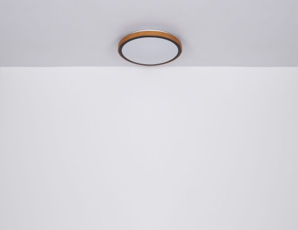 Plafonieră LED SAMMI LED/24W/230V 3000/4500/6000K Globo 41766-24