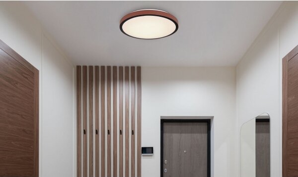 Plafonieră LED SAMMI LED/24W/230V 3000/4500/6000K Globo 41766-24