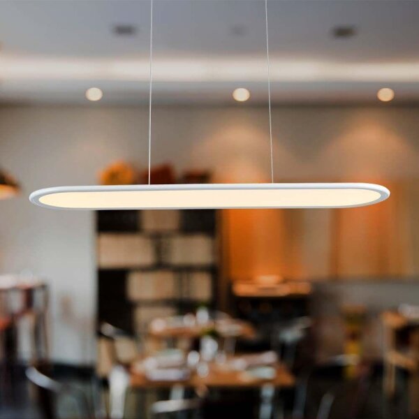 Lustră LED pe cablu LED/24W/230V 4000K alb