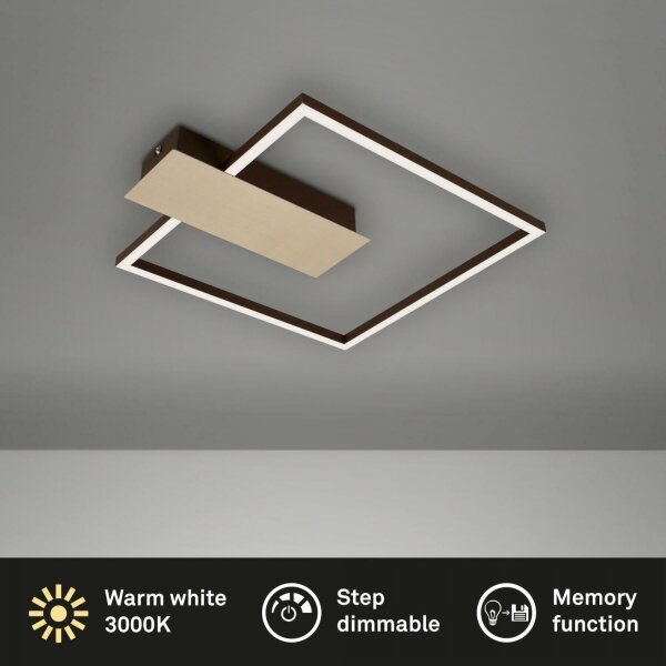 Plafonieră LED dimabilă NICO LED/12W/230V Briloner 3544-017