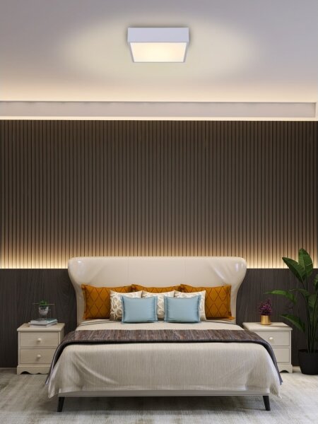 Plafonieră LED dimabilă Immax NEO 07238L CANTO 22W/230V alb Tuya + telecomandă