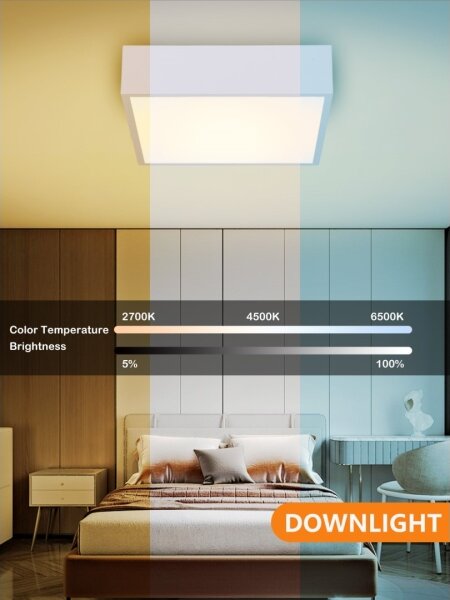 Plafonieră LED dimabilă Immax NEO 07238L CANTO 22W/230V alb Tuya + telecomandă